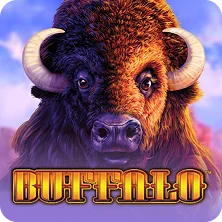 buffalo slot